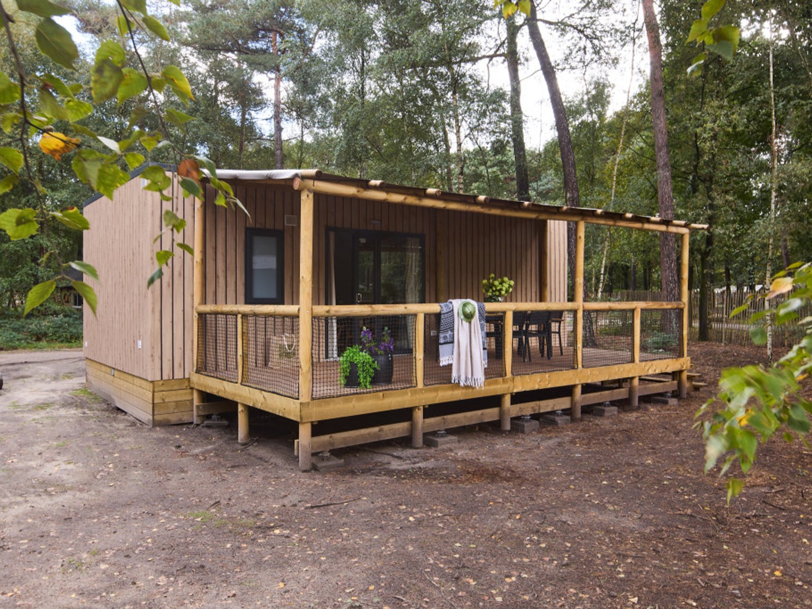 beekse-bergen-accommodatie-forest-cabin.jpg