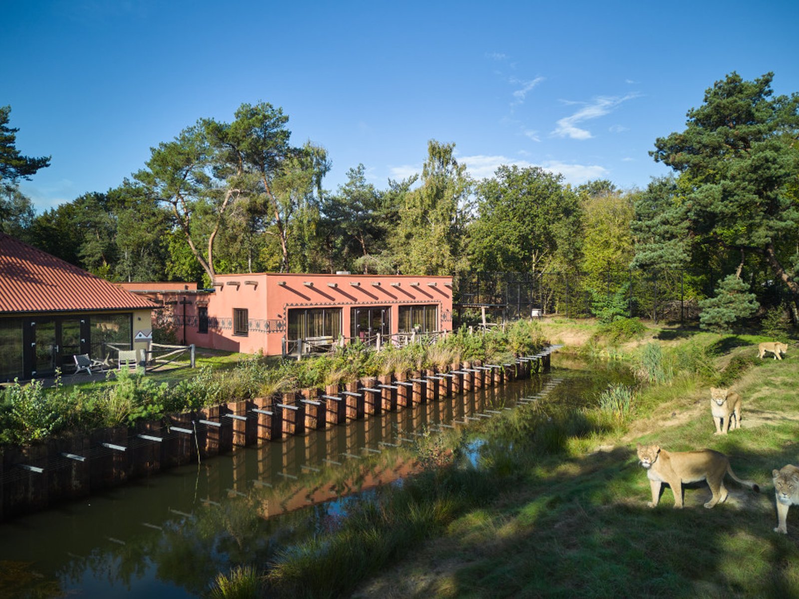 safari-resort-beekse-bergen-savanne-groepslodge.jpg