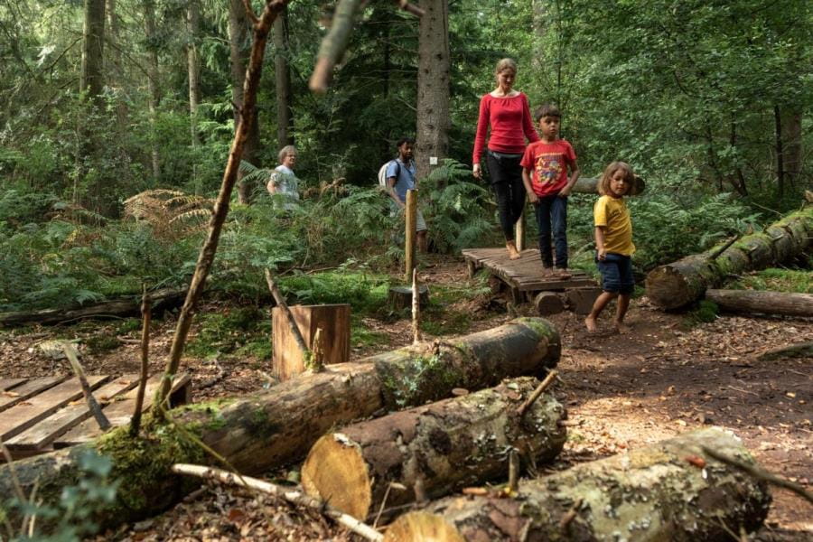 blotevoetenpad-drents-friese-wold-wandelen-natuurgebied.jpg