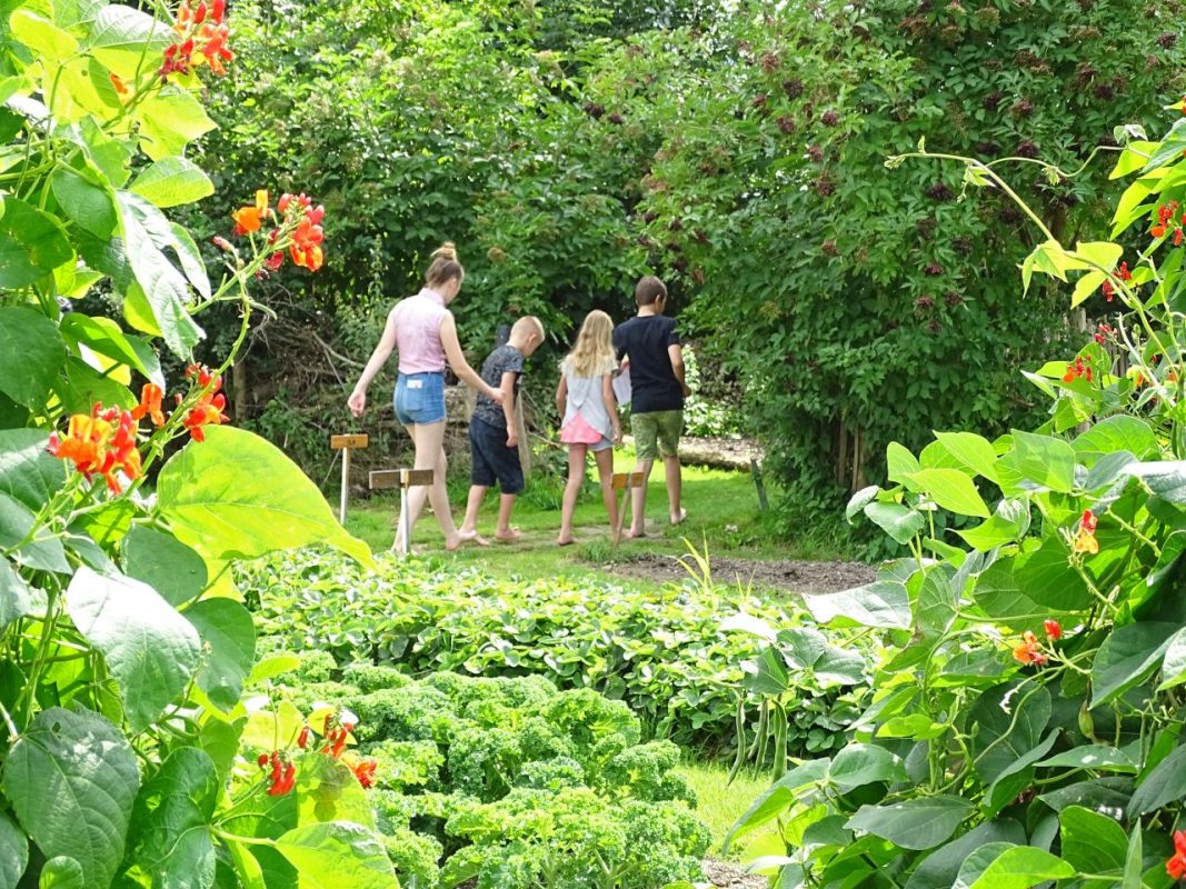 blotevoetenpad-zeewolde-tuin-planten.jpg