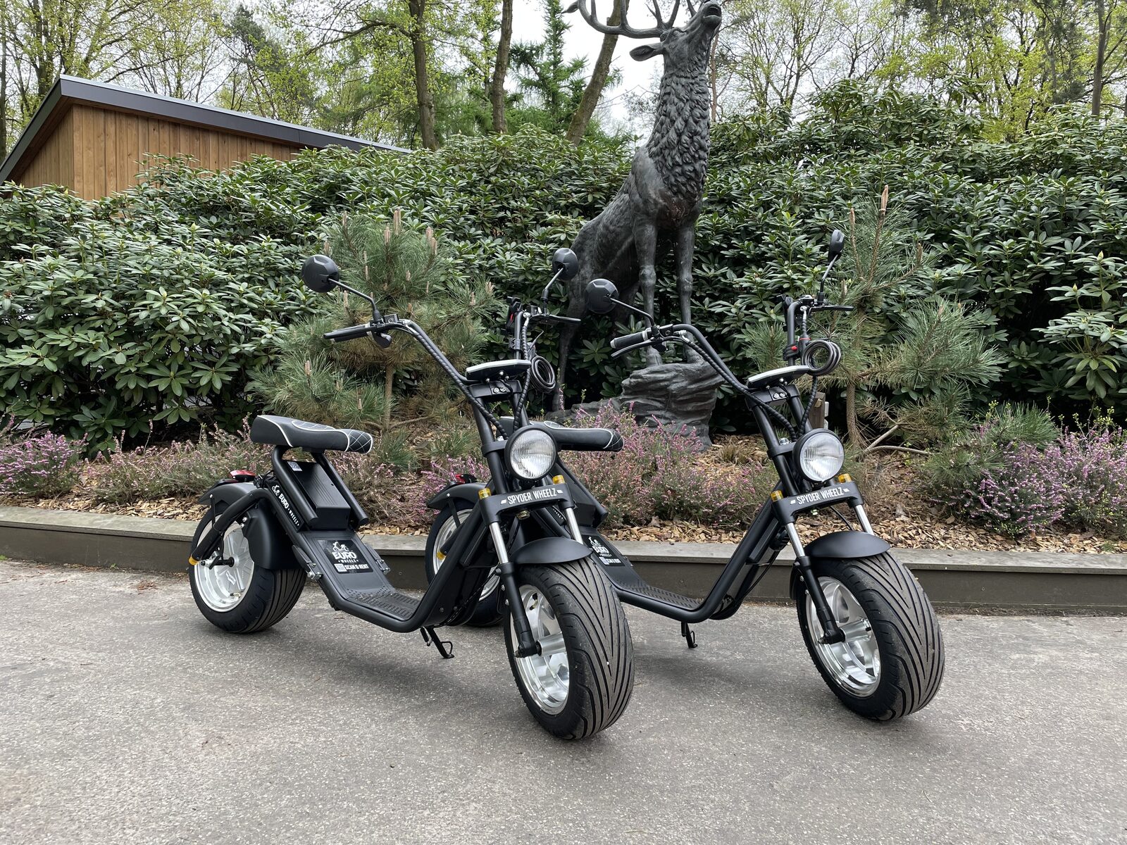 berkenrhode-e-choppers-verhuur-famillie.jpg
