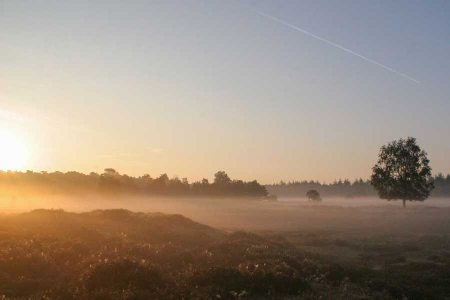 natuurgebied-de-grote-peel.jpg