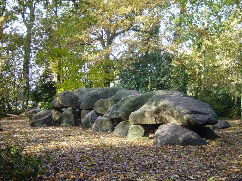 hunnebedden-wandelen-d27.jpg
