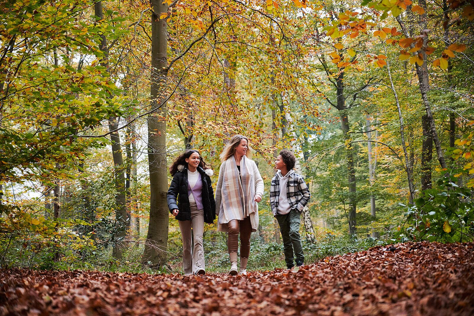 de-ijs-vogel-bos-famillie.jpg