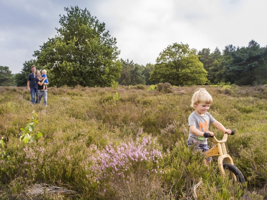 landal-het-land-van-bartje-wandelen-natuur.jpg