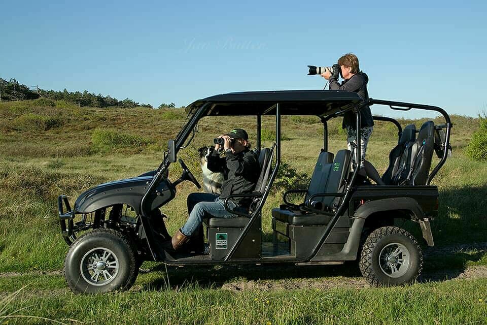 green-buggy-activiteit.jpg