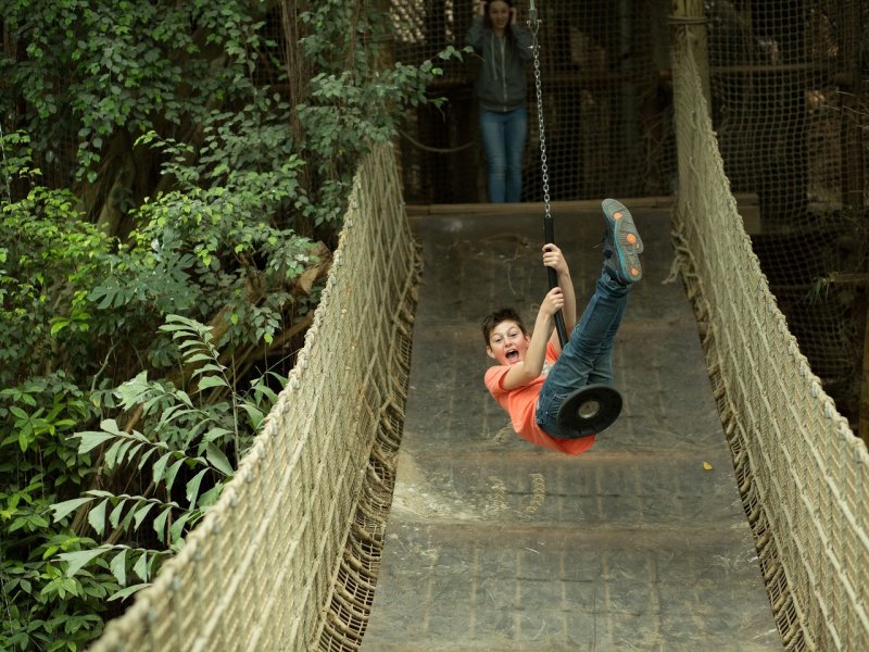 Centerparcs-Het-Heijderbos-klimmen.jpg