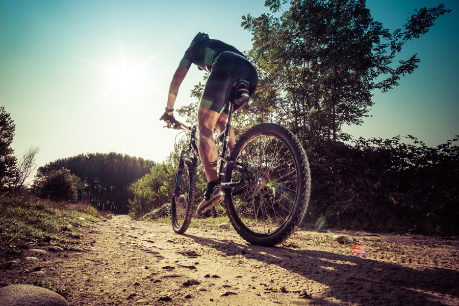 RCN-Vakantieparken-Mountainbiken-2.jpg
