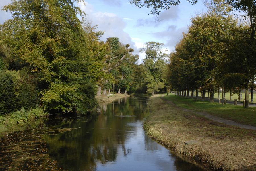 RCN_het_Grote_Bos_omgeving_natuur-1.jpg