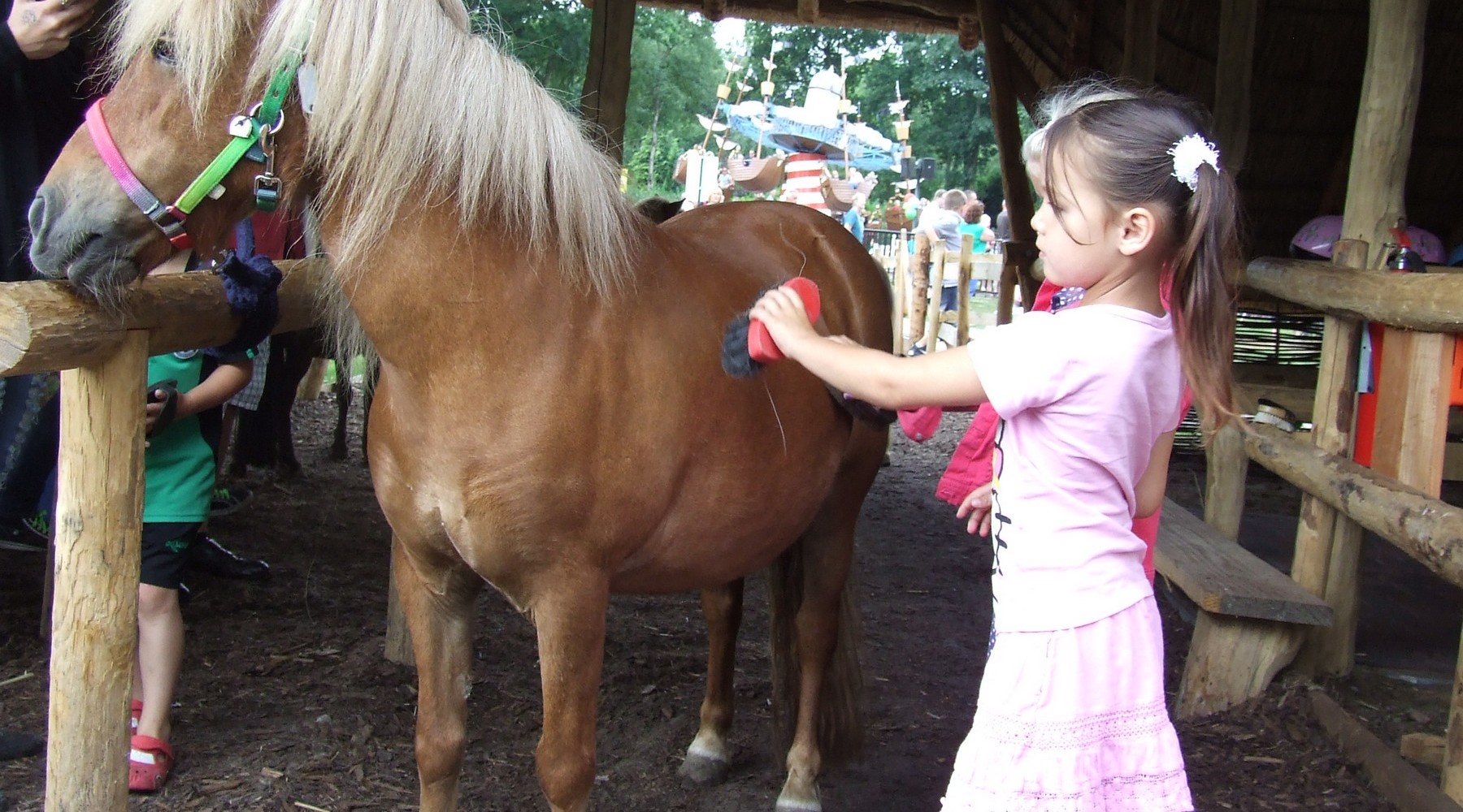 ponys-drouwenerzand.jpg