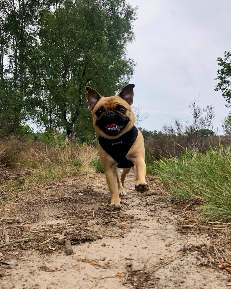 Buitenplaats Beekhuizen