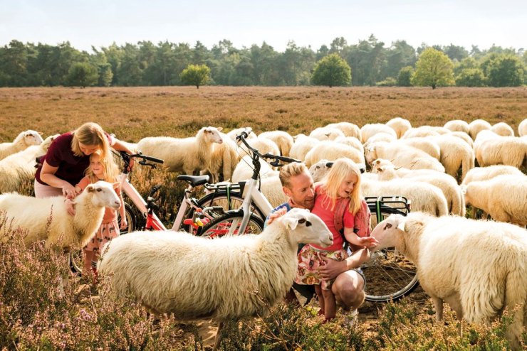 Landal Gooise Heide