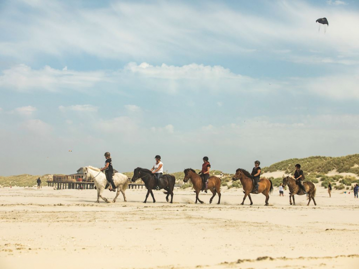 Landal Ameland State