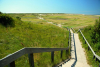 Bosch en Zee (Texel)