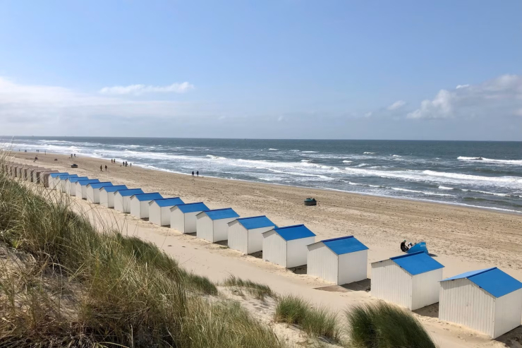 Bosch en Zee (Texel)