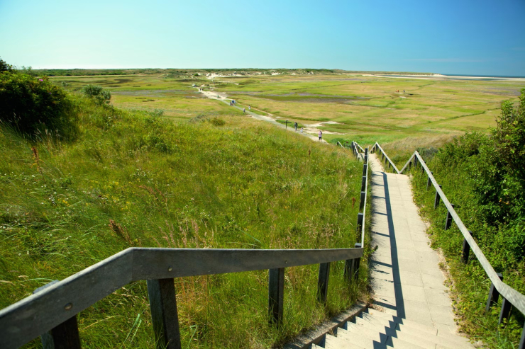 Bosch en Zee (Texel)