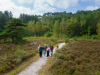 Landal Berger Duinen