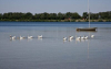 Resort Boschmolenplas