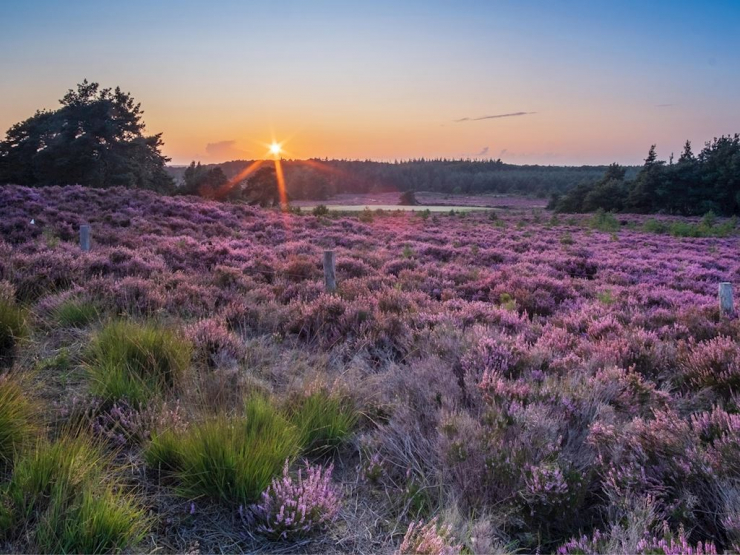 Landal Hellendoornse Berg