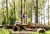 Parc de IJsselhoeve