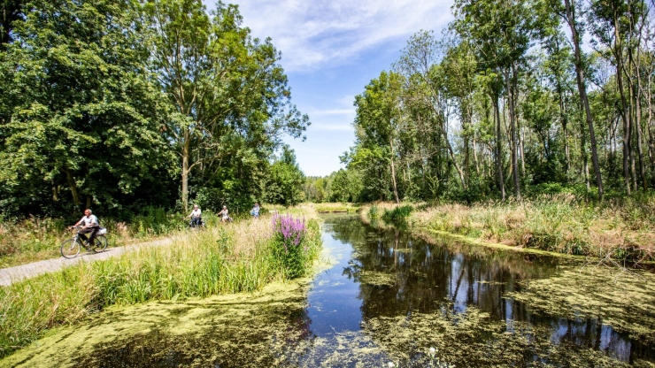 Parc de IJsselhoeve