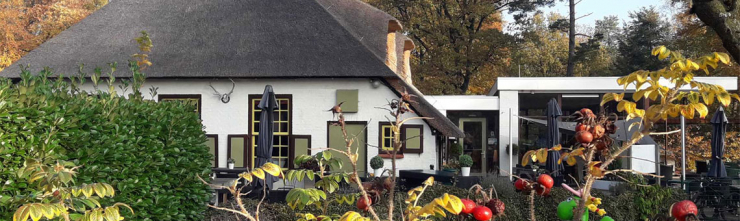 Molecaten Park De Leemkule