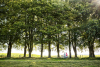 Vakantiepark De Lindenberg
