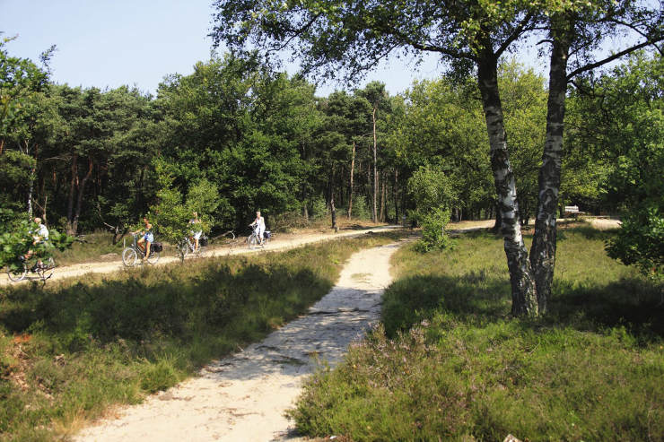 Vakantiepark De Lindenberg