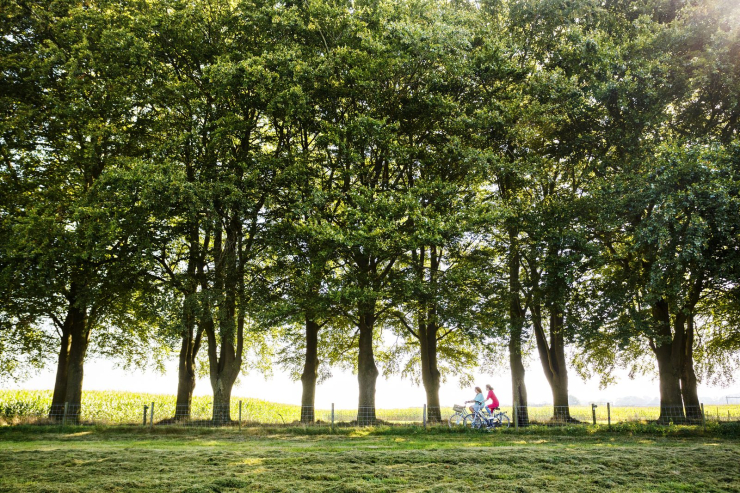 Vakantiepark De Lindenberg
