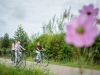 Landal Reeuwijkse Plassen