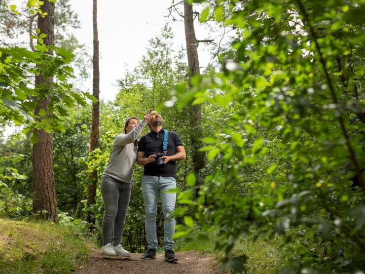 Landal De Vlinderhoeve