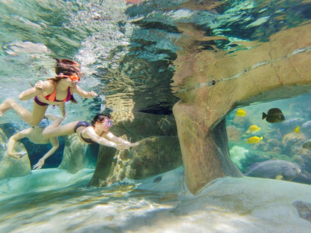 CenterParcs De Vossemeren