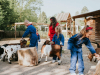 Vakantiepark Dierenbos