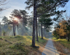 Camping Ginsterveld