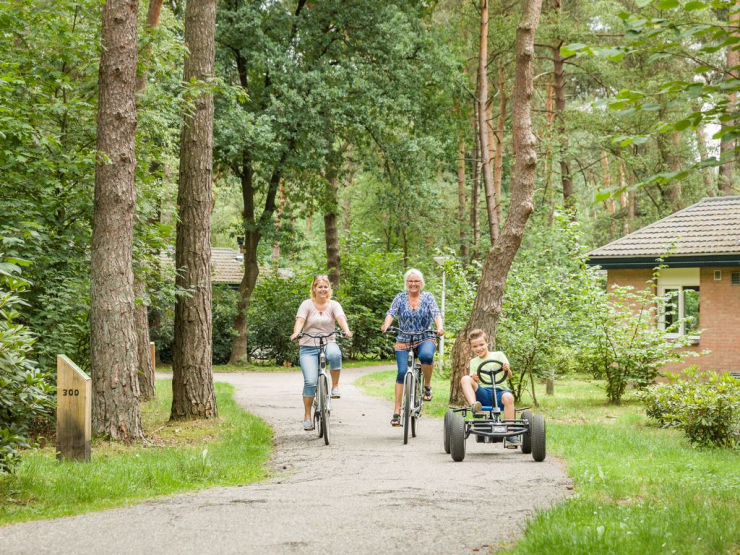 Landal Heideheuvel