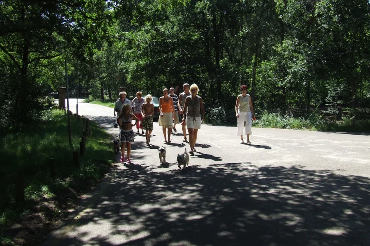 Vakantiepark Herperduin