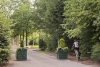 Vakantiepark Het Drentse Wold