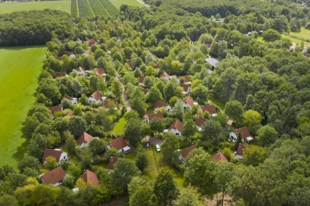 Het Drentse Wold