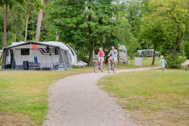 Tips voor een Geweldige Tijd bij Het Grote Bos
