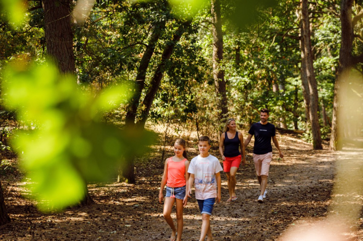 RCN het Grote Bos
