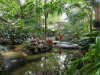 Center Parcs Het Meerdal
