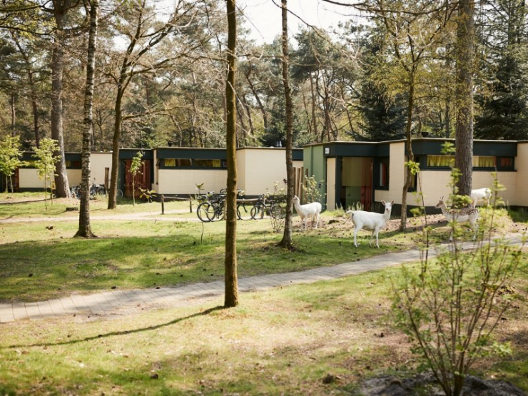 Center Parcs Het Meerdal
