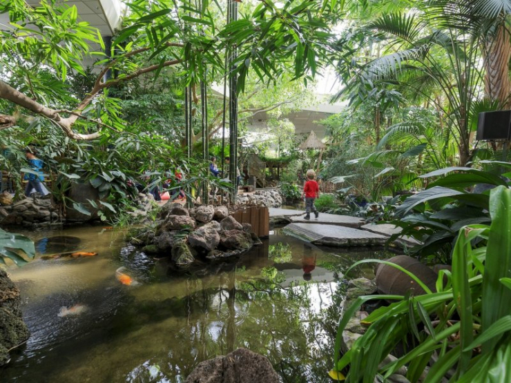 Center Parcs Het Meerdal