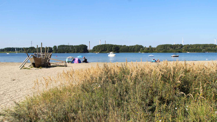 Kruininger Gors