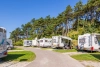 Kustpark Egmond aan Zee