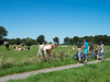 Landal Landgoed De Elsgraven