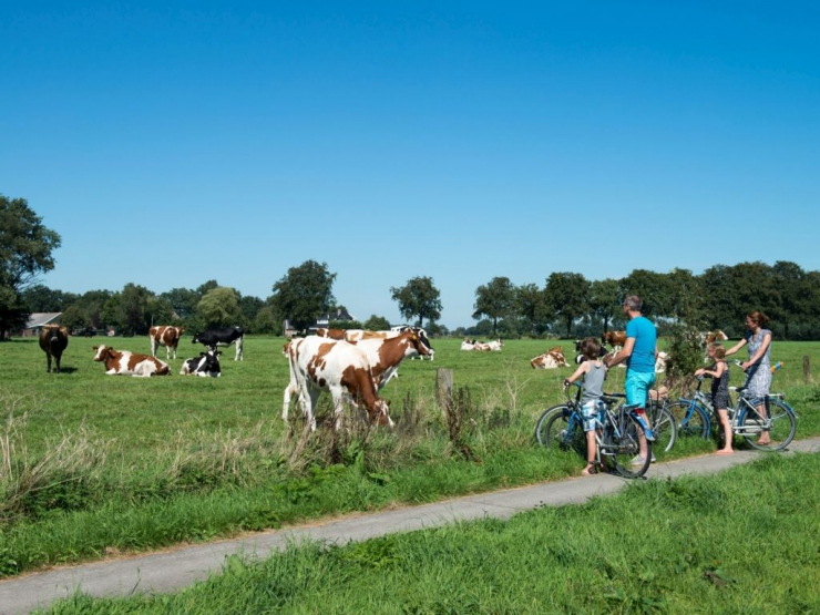 Landal Landgoed De Elsgraven