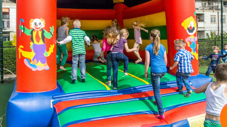 Recreatielandgoed De IJsvogel