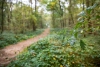 Landgoed Het Grote Zand