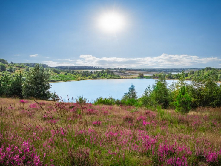 Landal Mooi Zutendaal